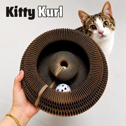 Kitty Kurl