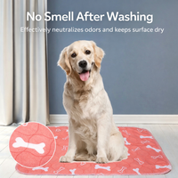 PawDry™ Reusable Leak-Proof Training Pad