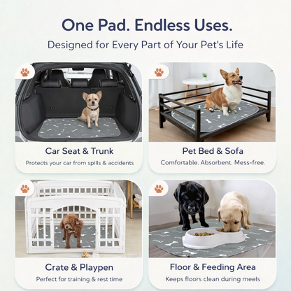 PawDry™ Reusable Leak-Proof Training Pad
