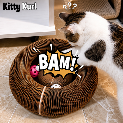 Kitty Kurl
