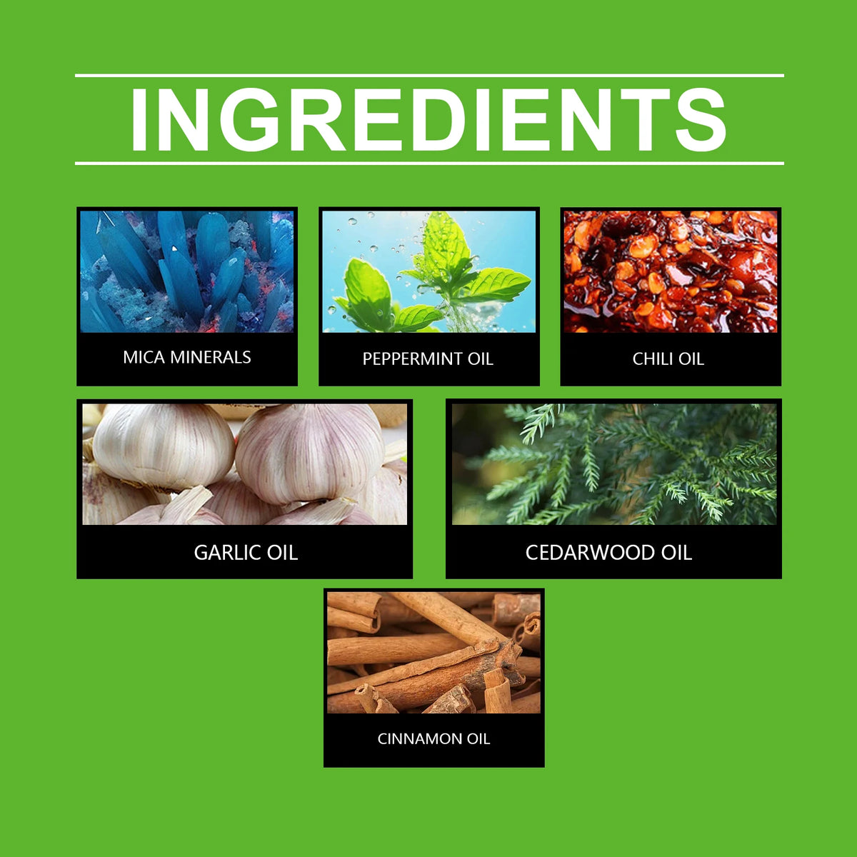 Natural Peppermint Indoor Rodent Repellent